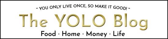 The Yolo Blog small banner
