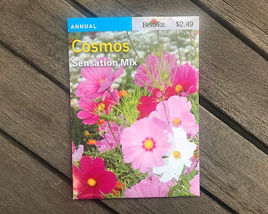 Cosmos seed packet