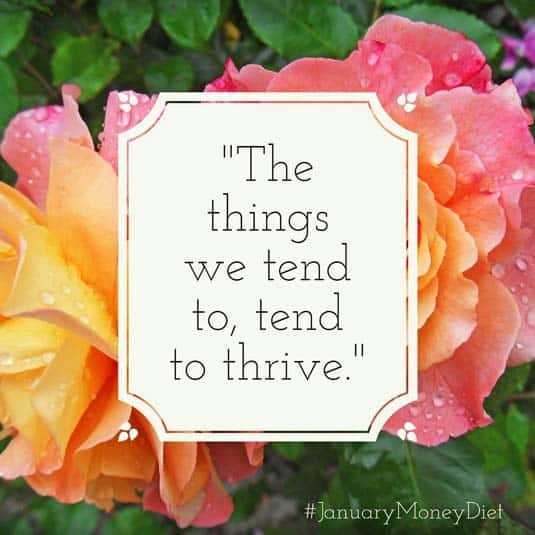 Tend to your finances