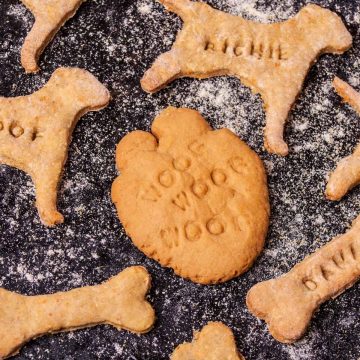Homemade dog biscuits on a gray work surface.