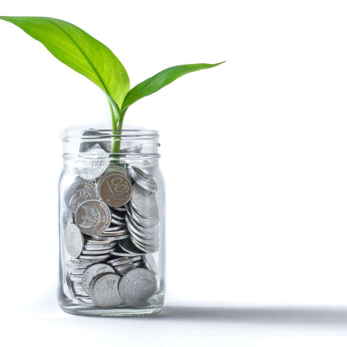 A jar of coins with a plant sprouting at the top to represent money growing.