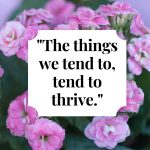 Pink flowers in the background, and the quote "The things we tend to, tend to thrive" overlaid.